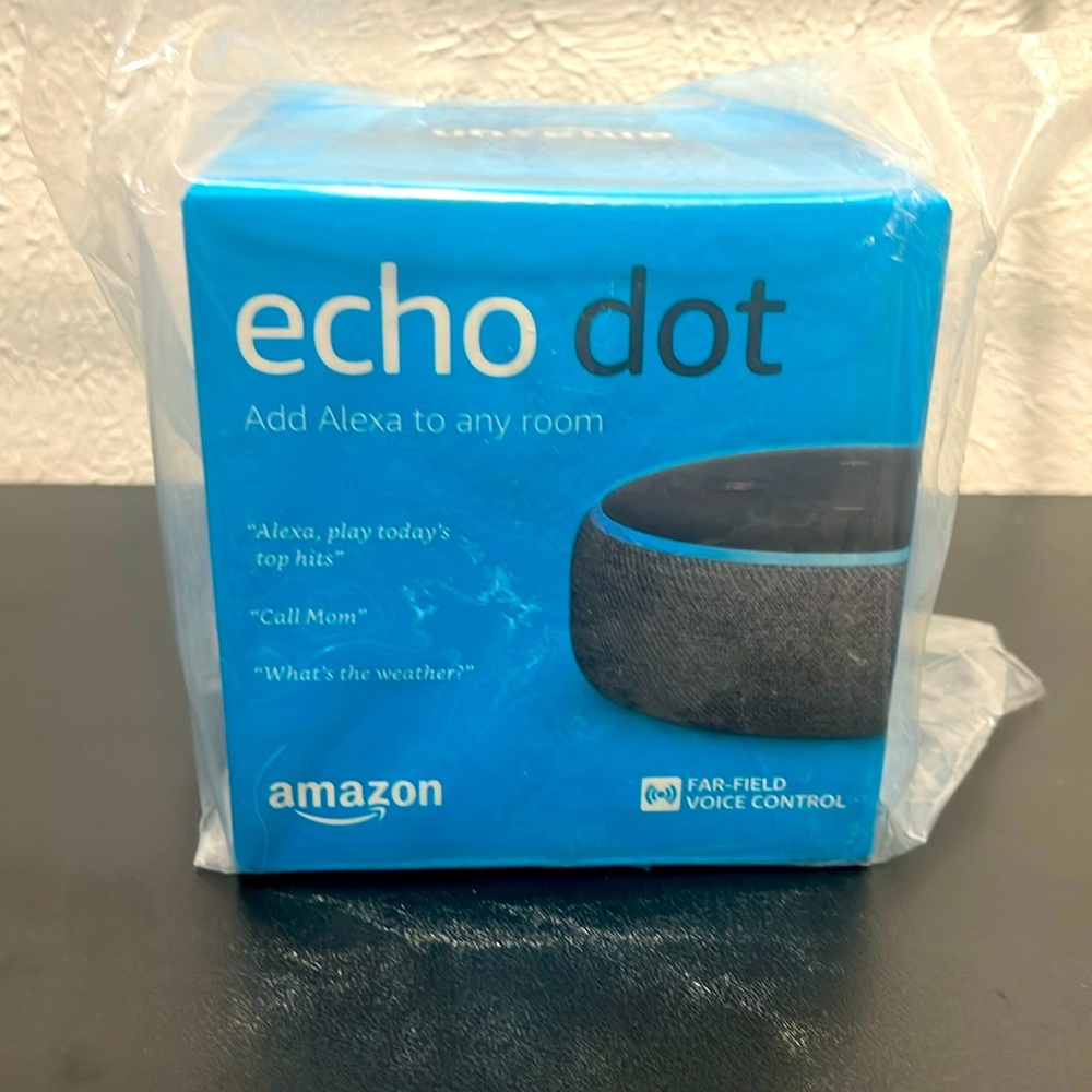 alxa type thing plays music can conect to ur house to turn on and off light